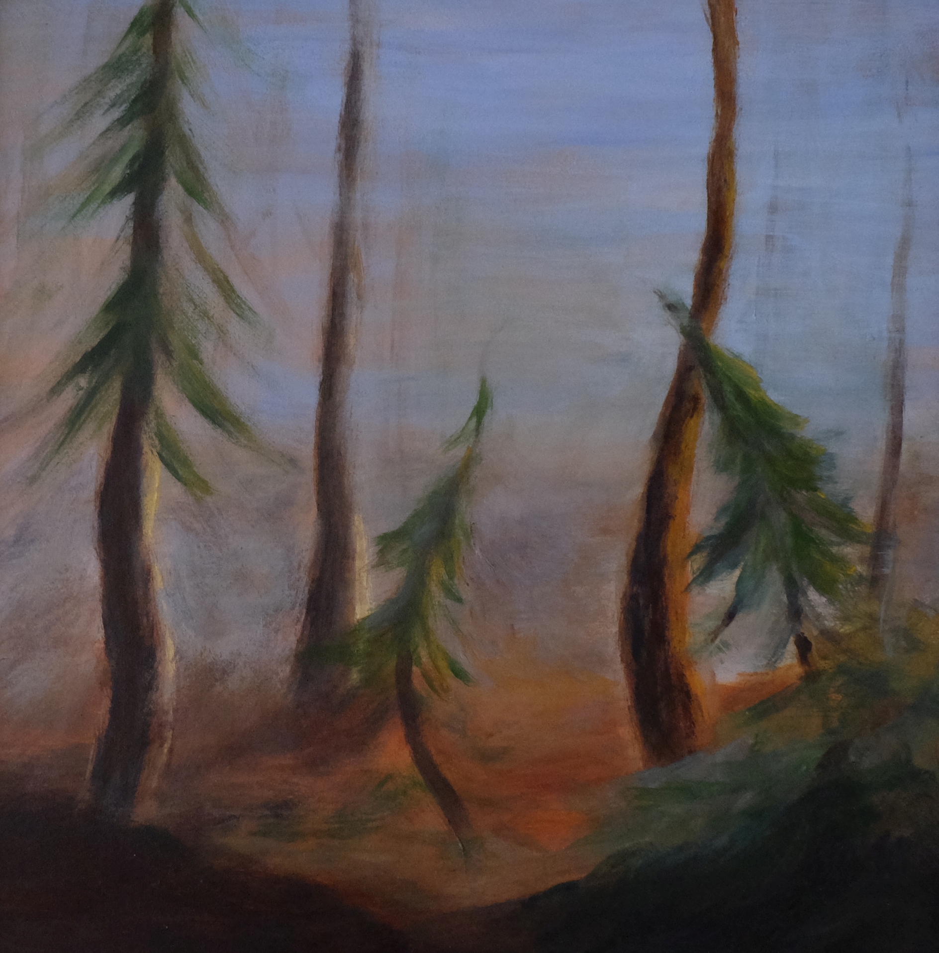 Door de bomen 